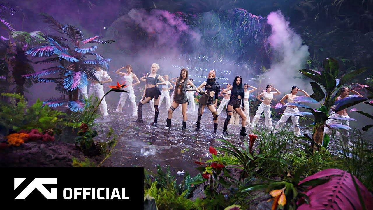 A moment captured by BLACKPINK's fan