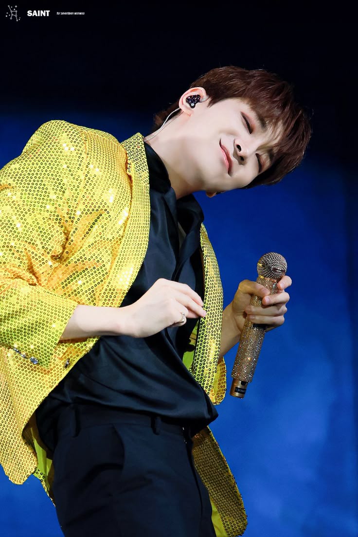 Recent activity shot of Wonwoo (SEVENTEEN)