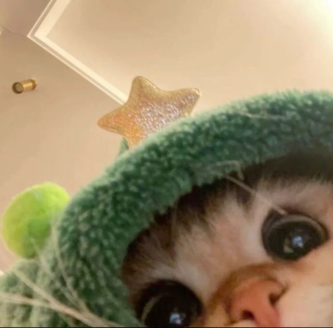 Recent activity shot of Moonbin (ASTRO)