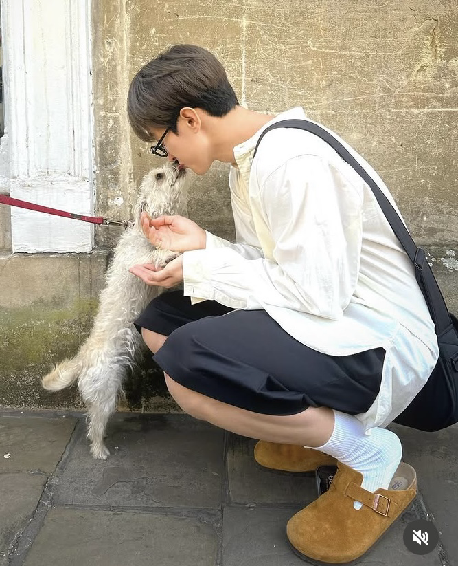 Latest photo of DK (SEVENTEEN)