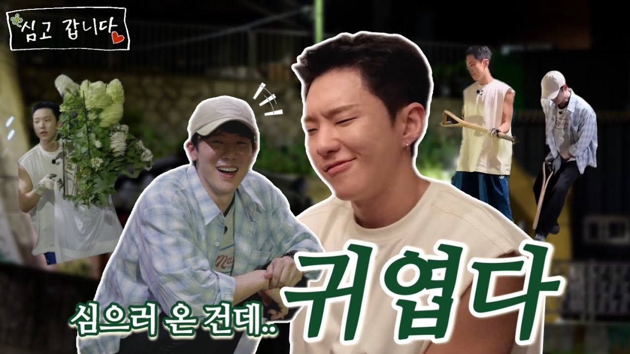 Recent activity shot of SEVENTEEN