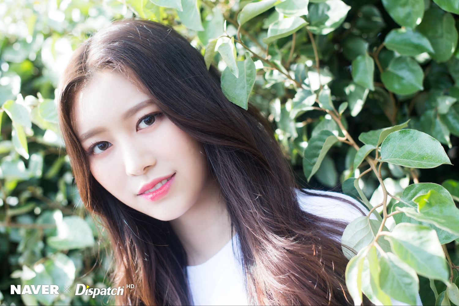 Latest photo of MOMOLAND