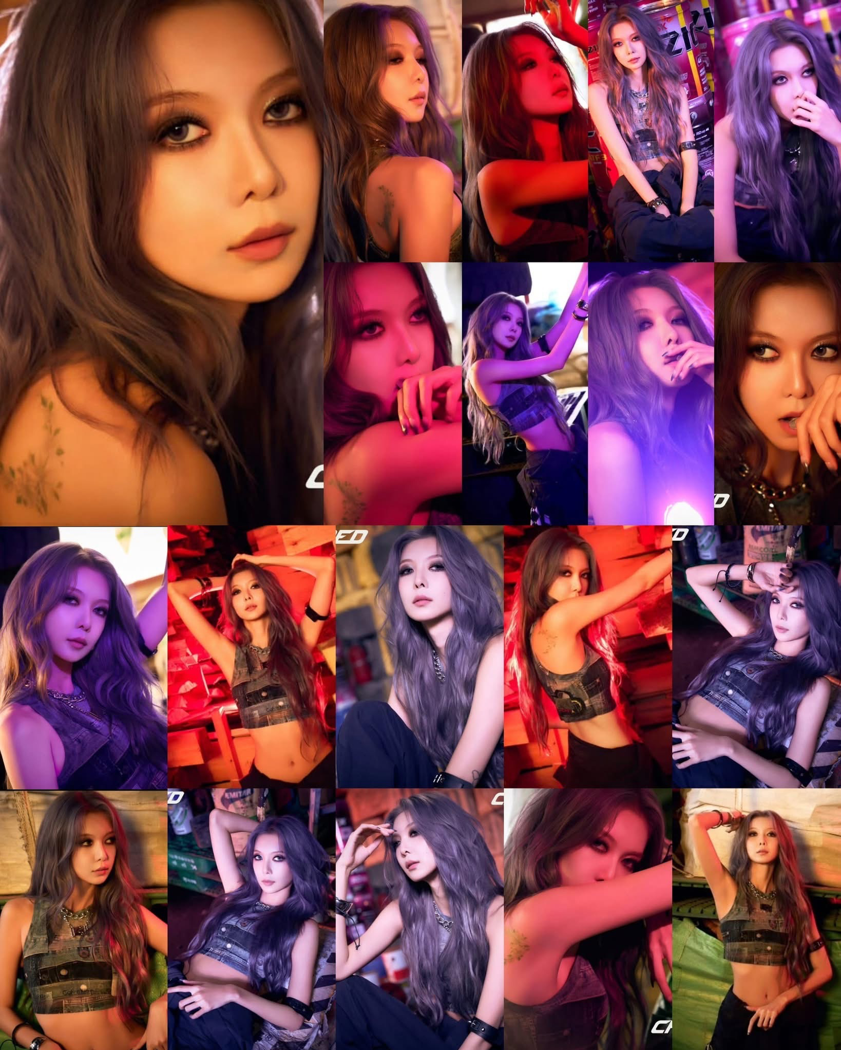 드림캐쳐의 최신 사진