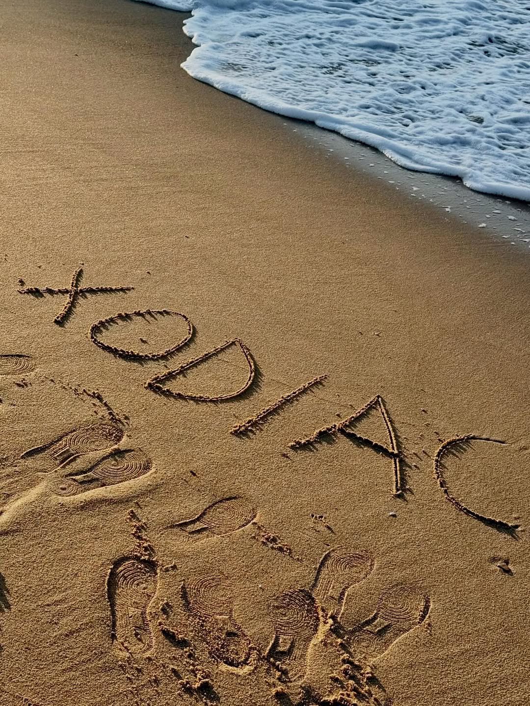 Recent activity shot of XODIAC