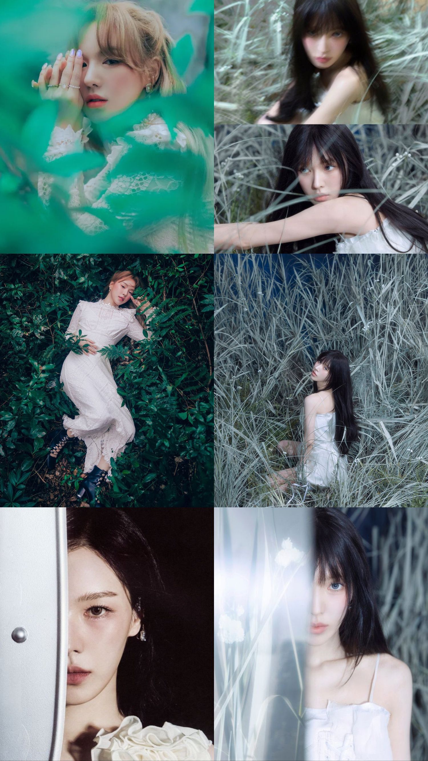 Latest photo of Wendy (Red Velvet)