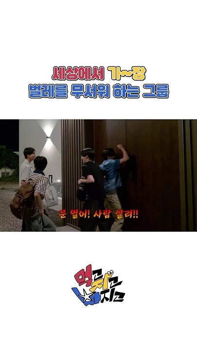 ENHYPEN 최근 활동샷
