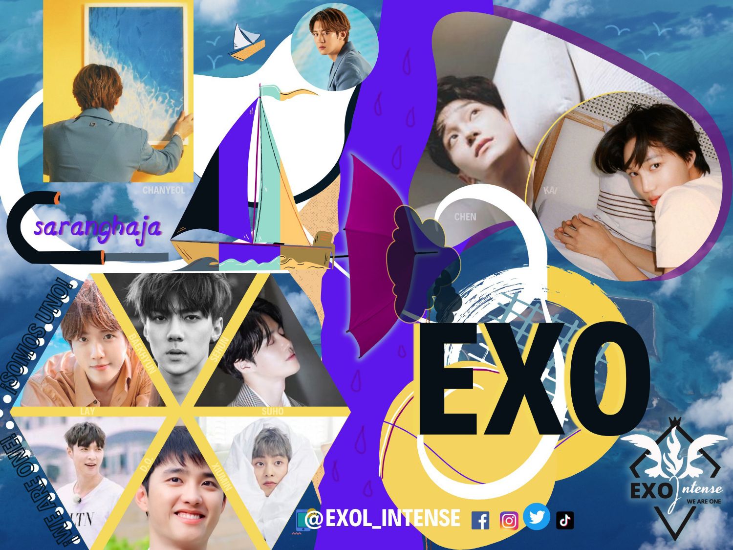 EXO 팬이 찍은 순간
