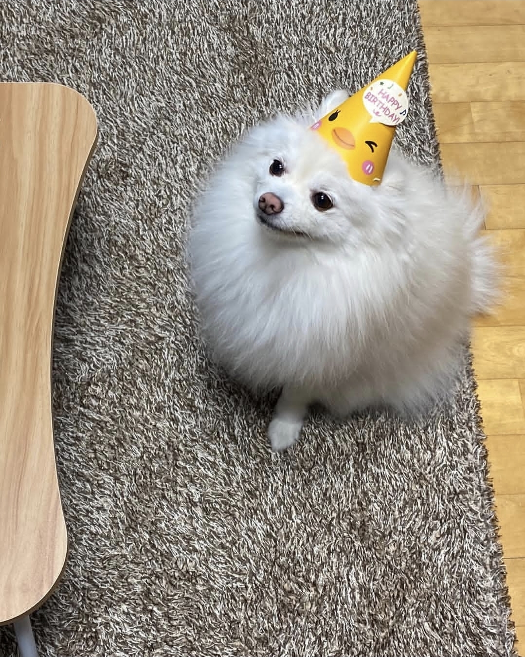 Recent activity shot of Ravn