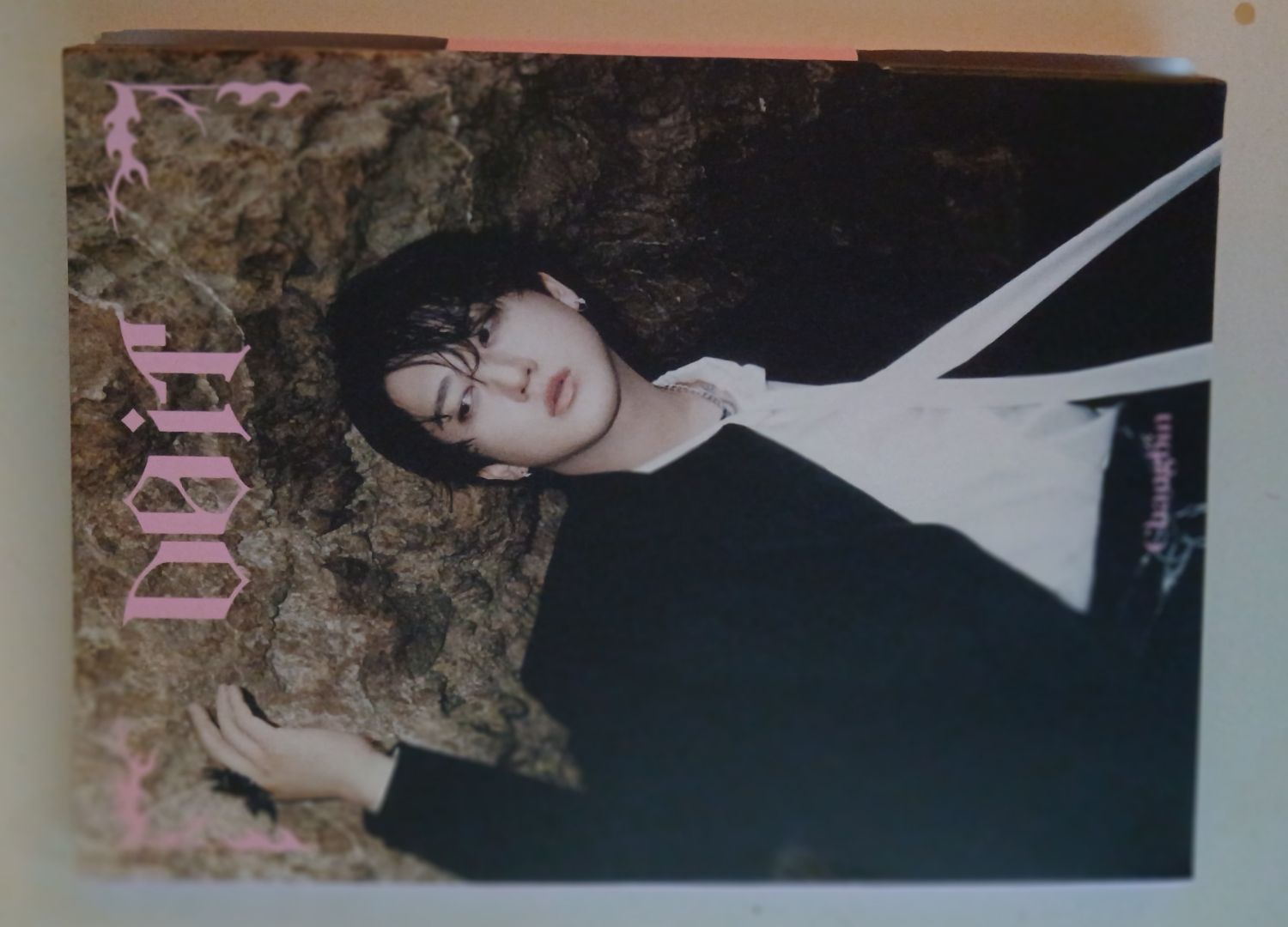 Stray Kidsファンが撮った瞬間