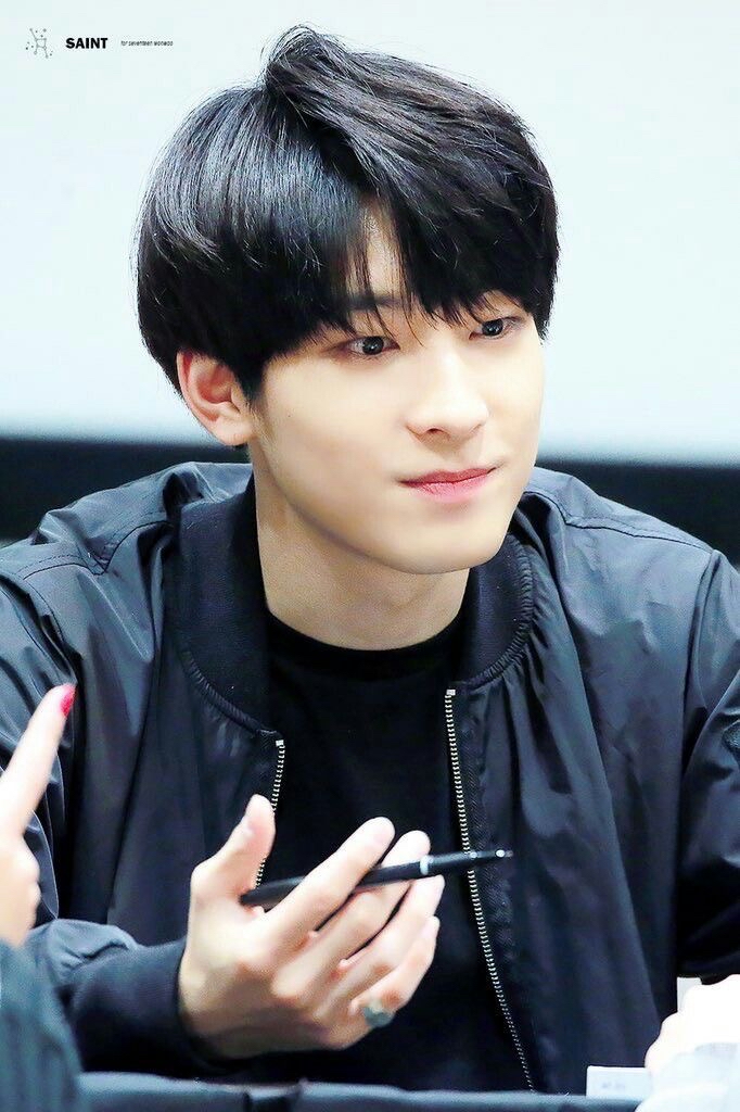 Potret di balik layar Wonwoo (SEVENTEEN)