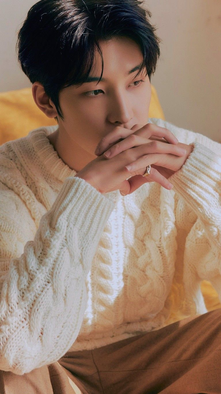 A moment captured by Wonwoo (SEVENTEEN)'s fan