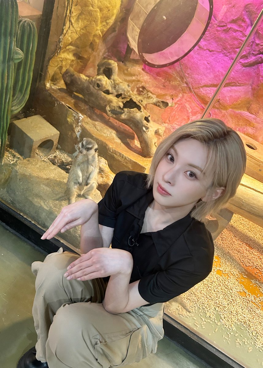 Latest photo of NMIXX