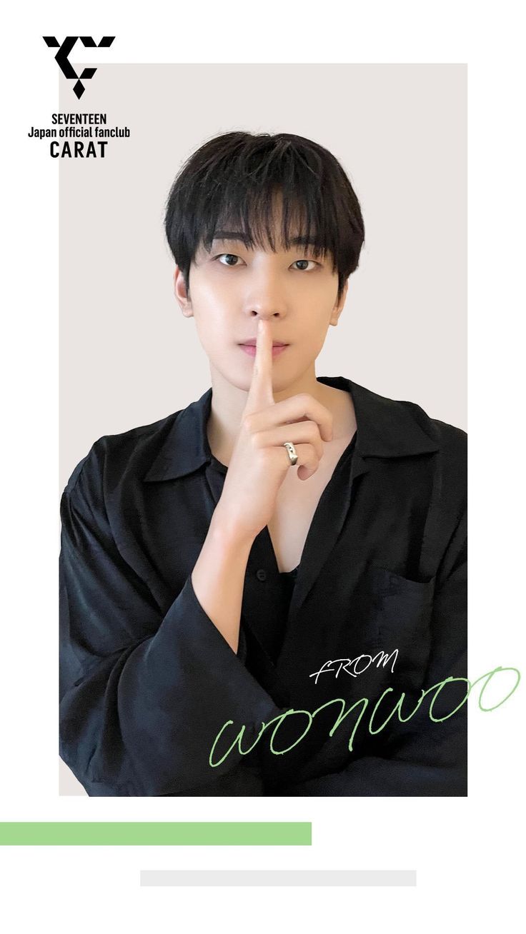 Fan-made special wallpaper for Wonwoo (SEVENTEEN)