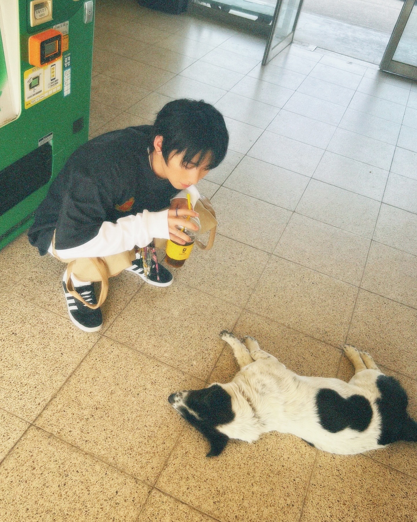 Recent activity shot of Park Han (AHOF)