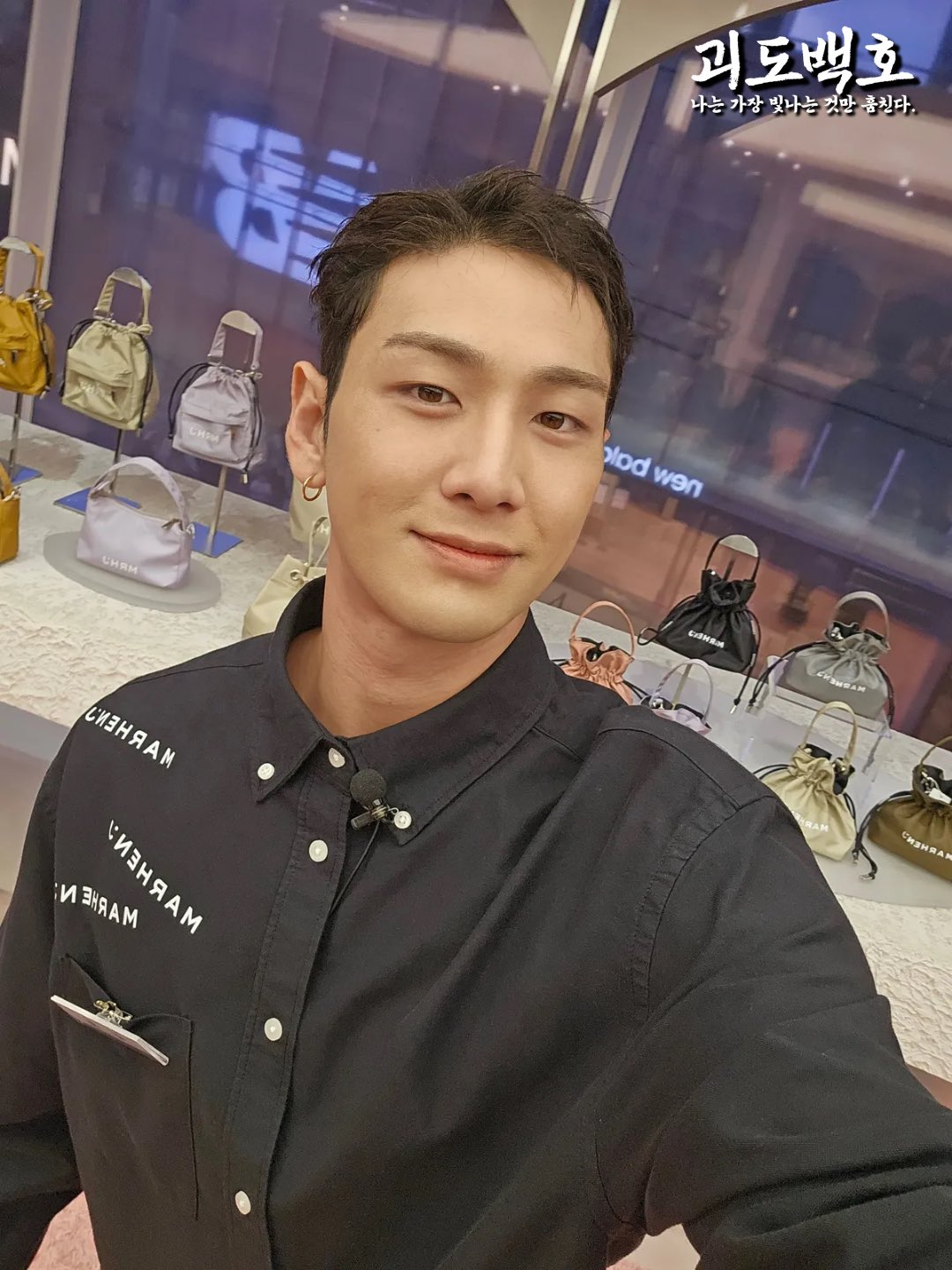 ベクホの最近の活動写真