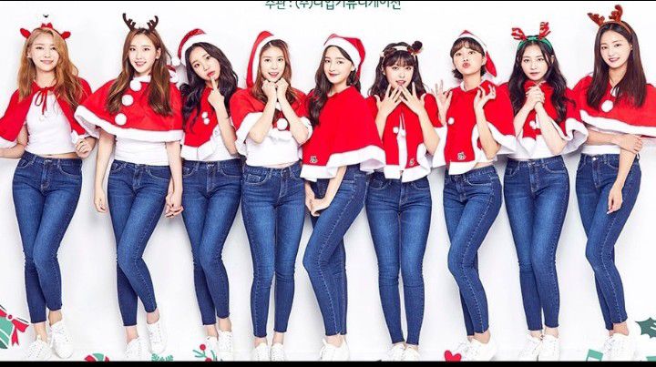 MOMOLANDの最新写真