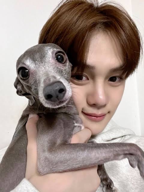 김규빈 (제로베이스원) 팬이 찍은 순간