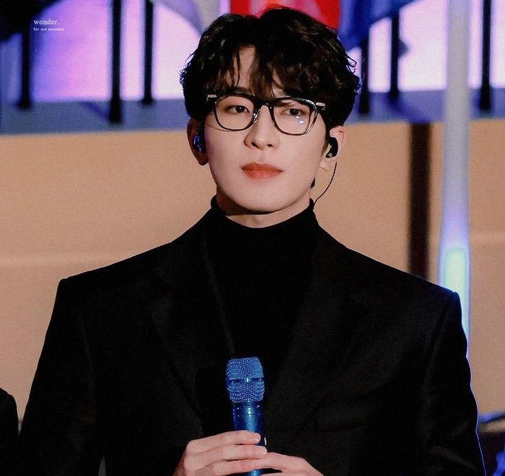Recent activity shot of Wonwoo (SEVENTEEN)
