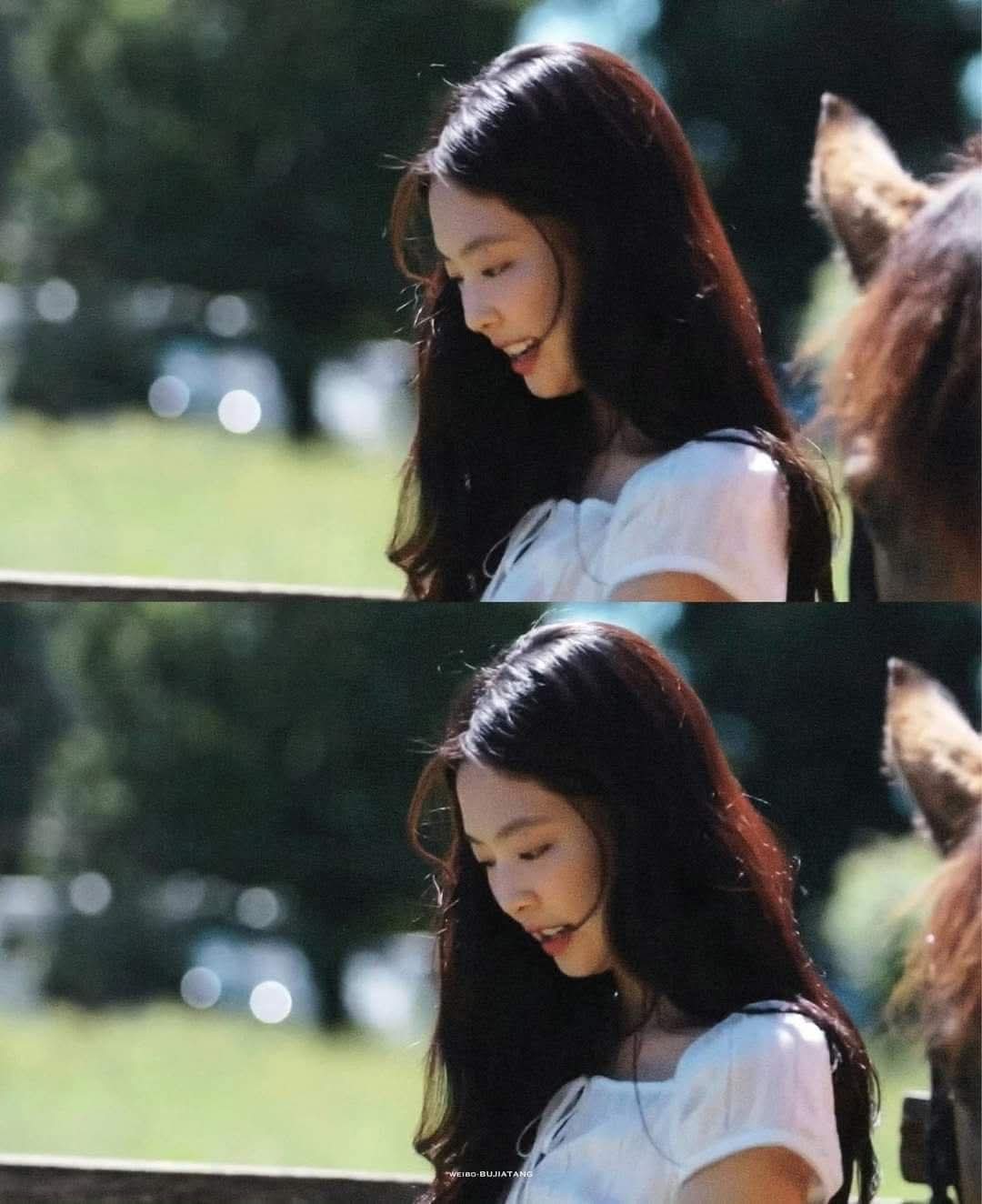 Jennie (BLACKPINK)的幕後花絮
