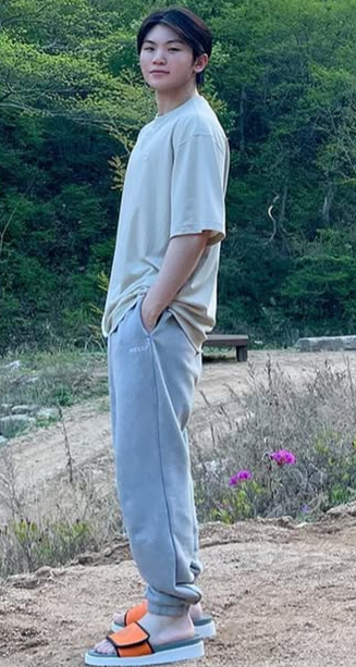 ウジ (SEVENTEEN)ファンダムに愛される定番の壁紙