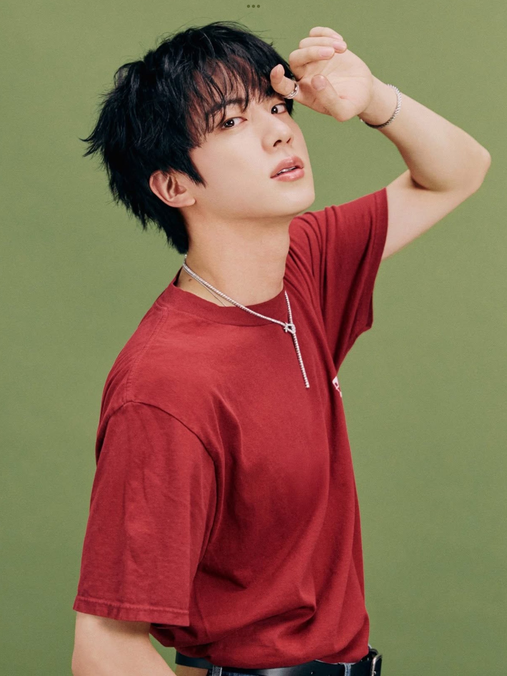 A moment captured by Jin (BTS)'s fan