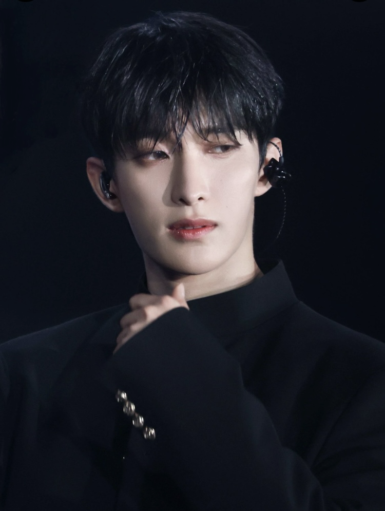 A moment captured by DK (SEVENTEEN)'s fan