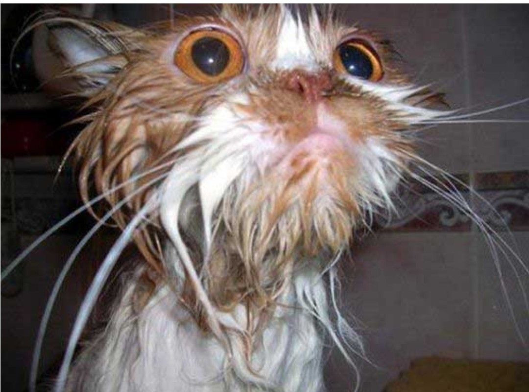 Momen yang diabadikan oleh penggemar Moonbin (ASTRO)