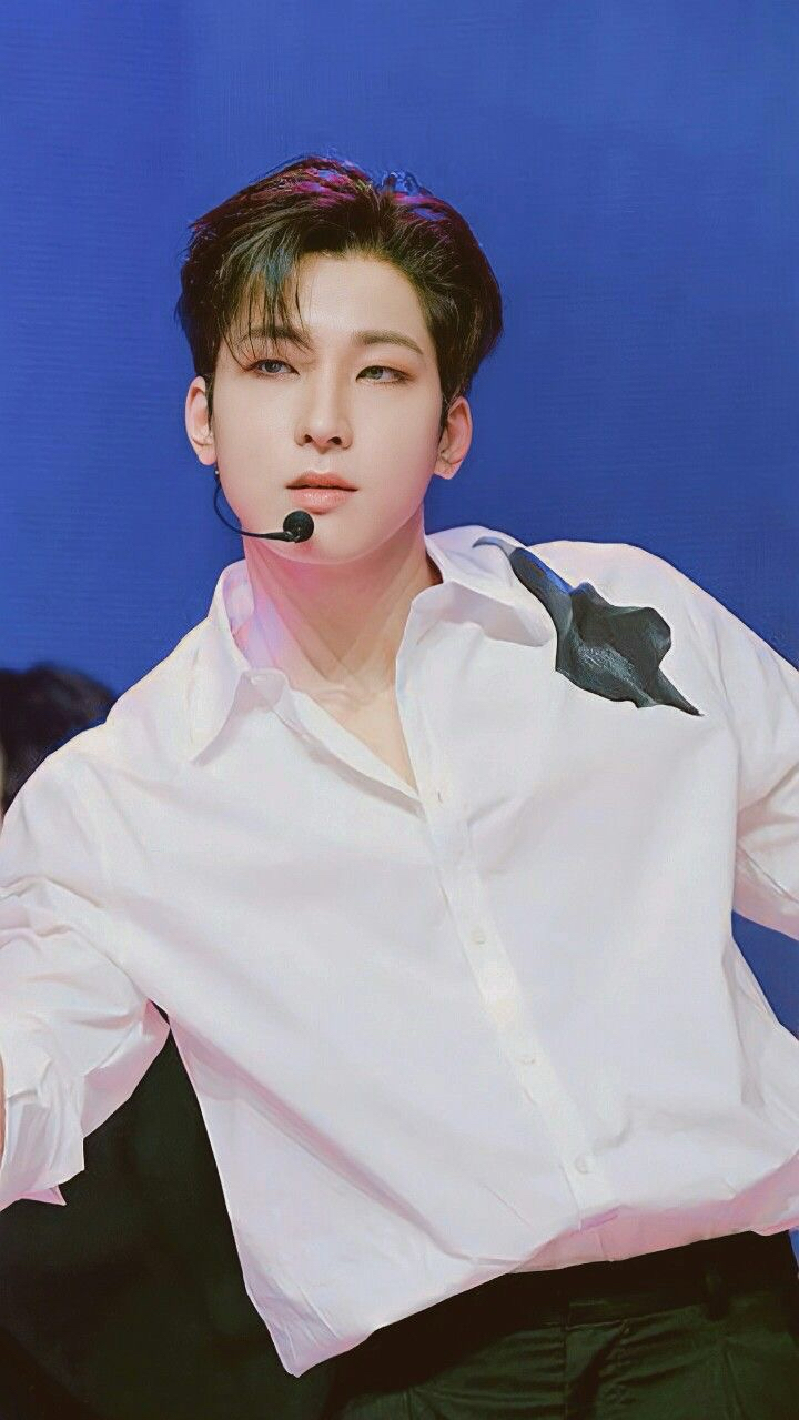 The most beloved wallpaper among Wonwoo (SEVENTEEN)'s fans