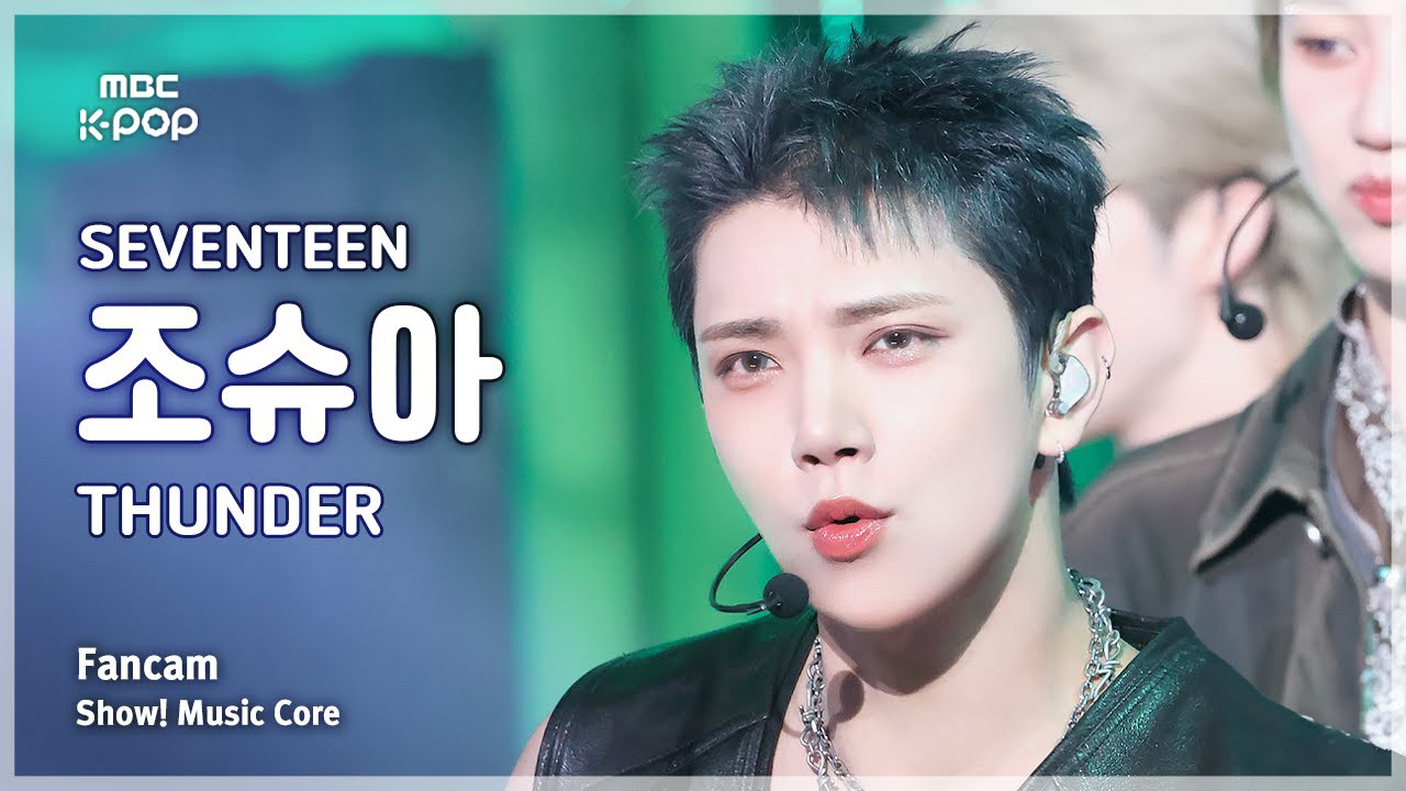 Joshua (SEVENTEEN)粉丝拍下的瞬间