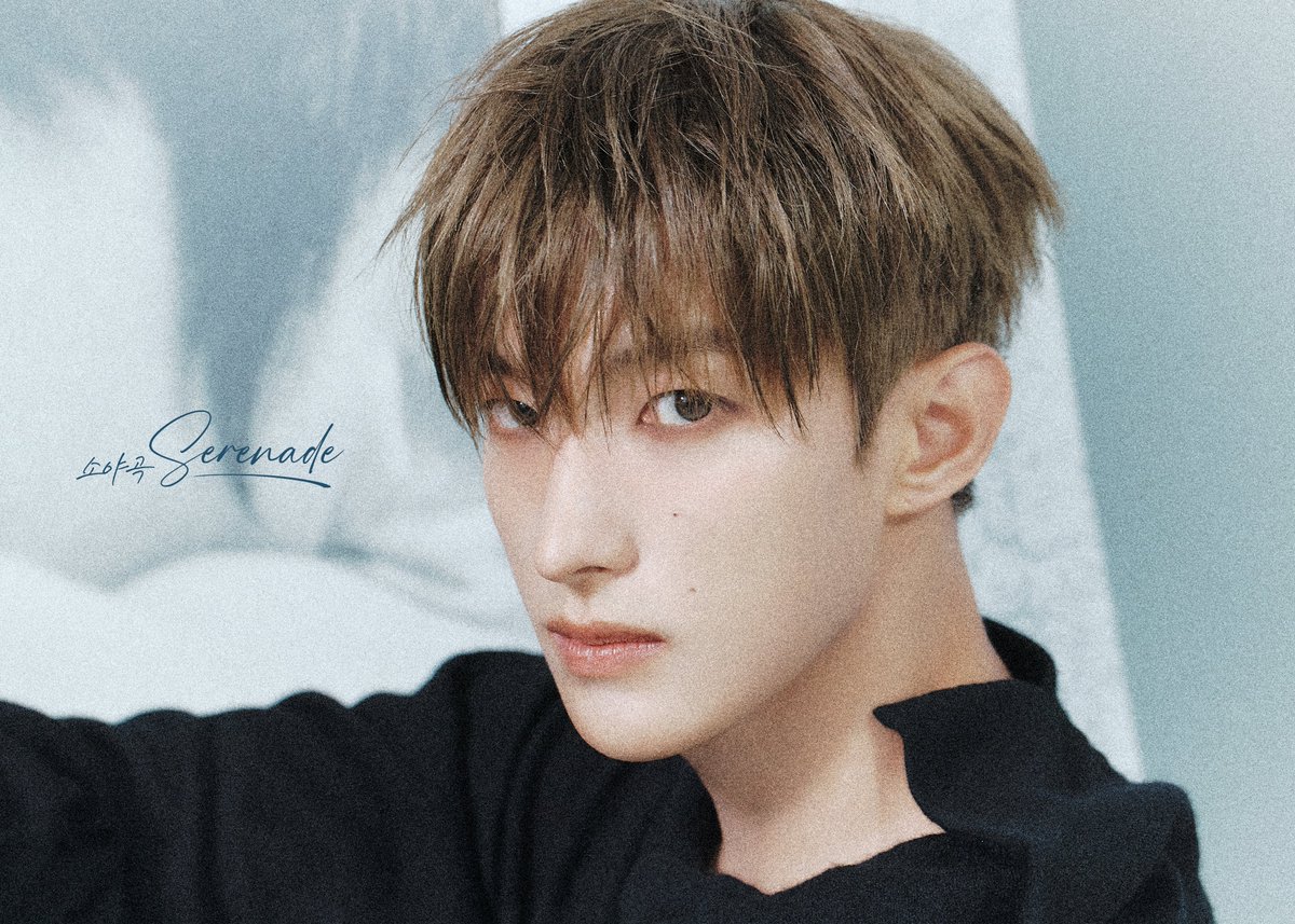 세븐틴의 비하인드 컷