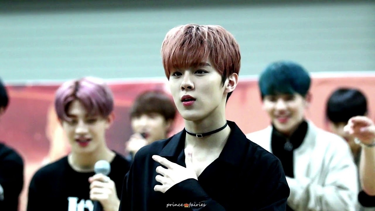 김우석의 최신 사진