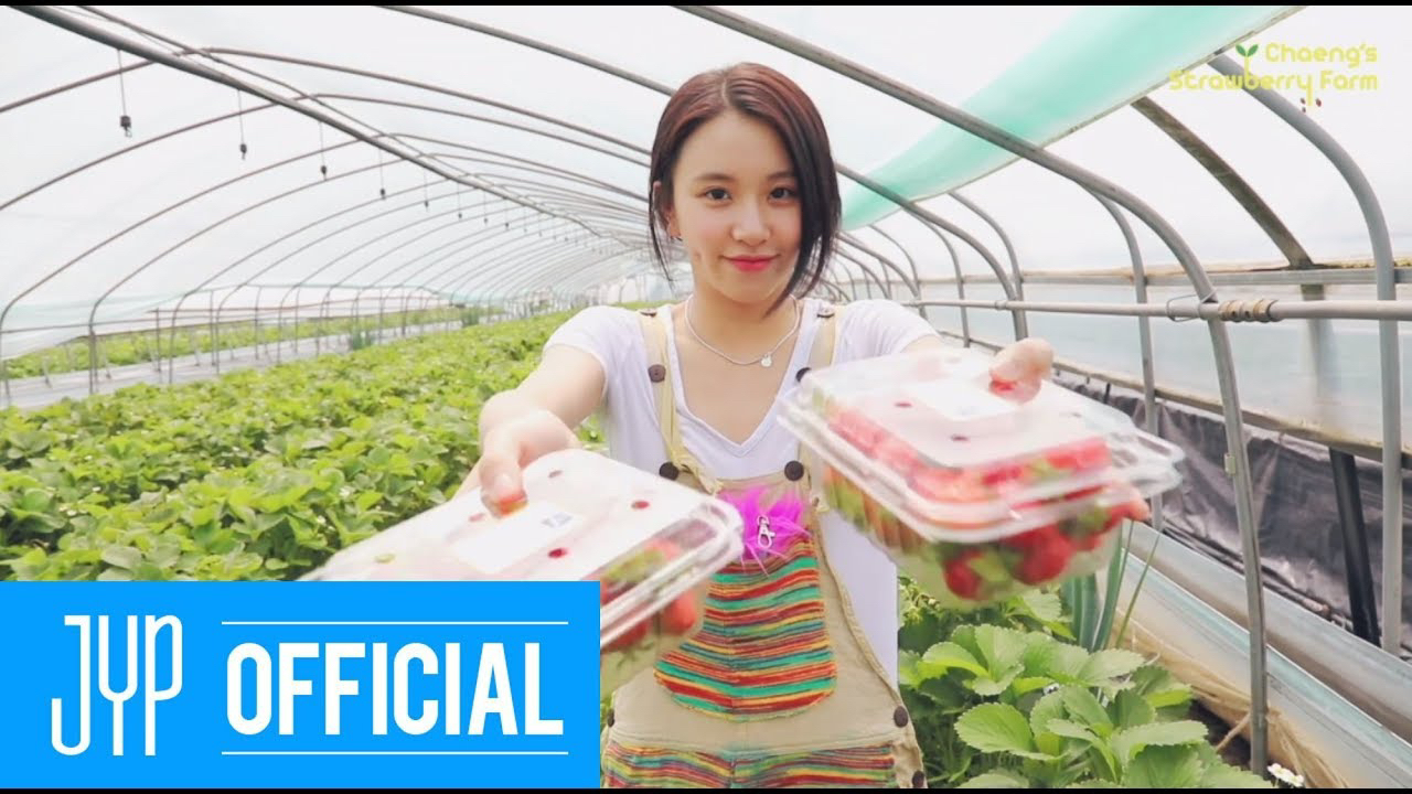 Behind-the-scenes cut of Chaeyoung (TWICE)