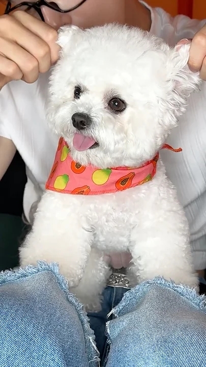 Potret di balik layar ASTRO