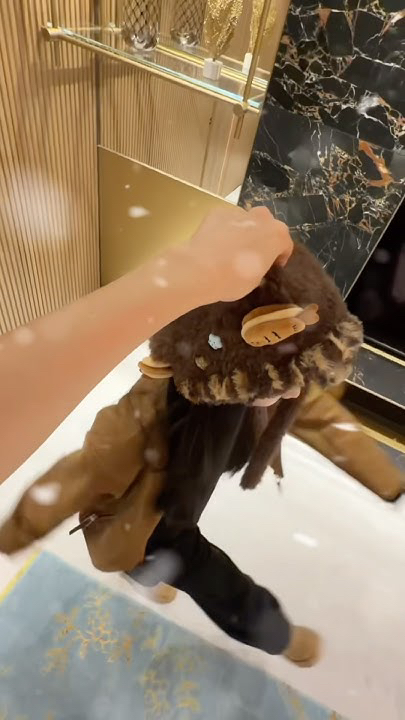 Momen yang diabadikan oleh penggemar TWICE