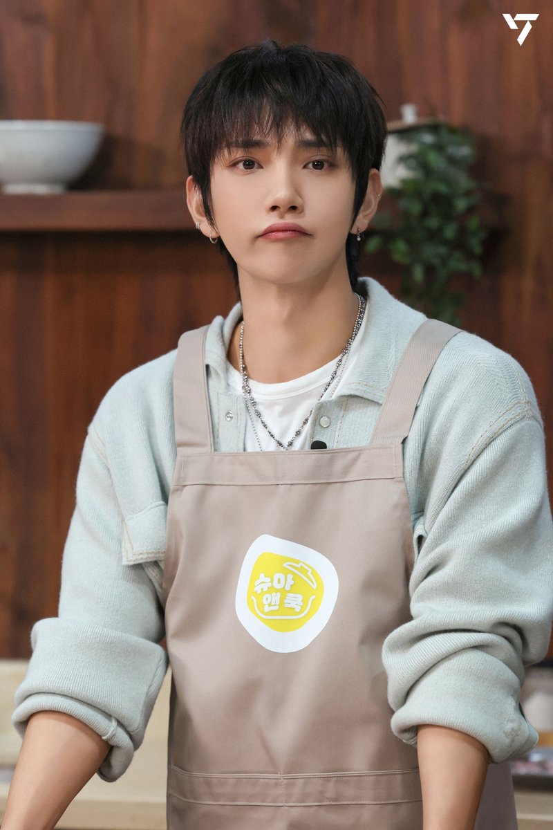 세븐틴 팬이 찍은 순간