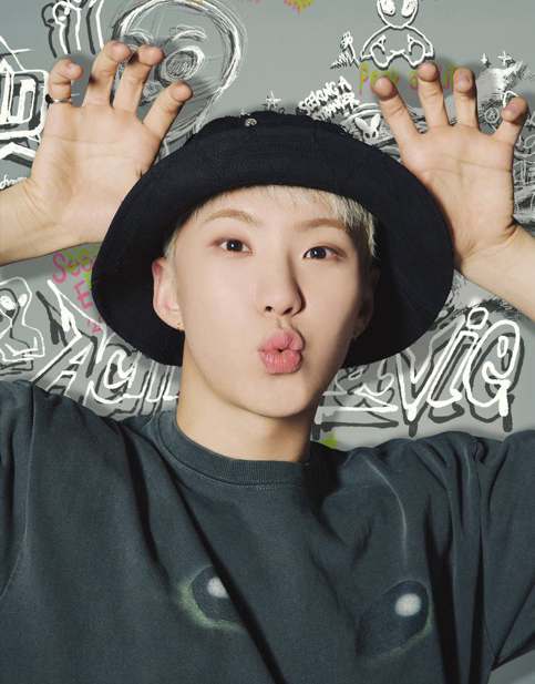 A moment captured by Hoshi (SEVENTEEN)'s fan