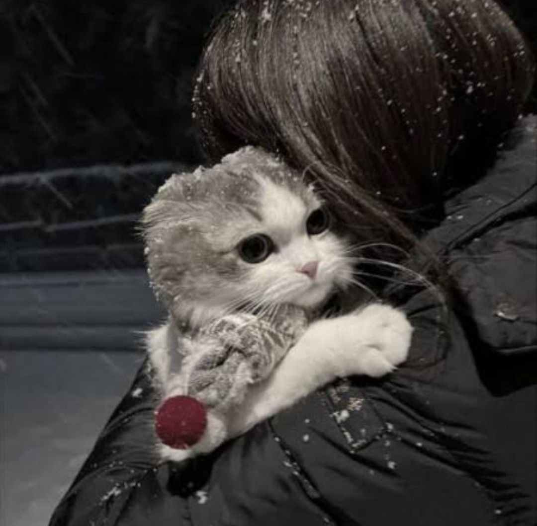 Latest photo of Moonbin (ASTRO)