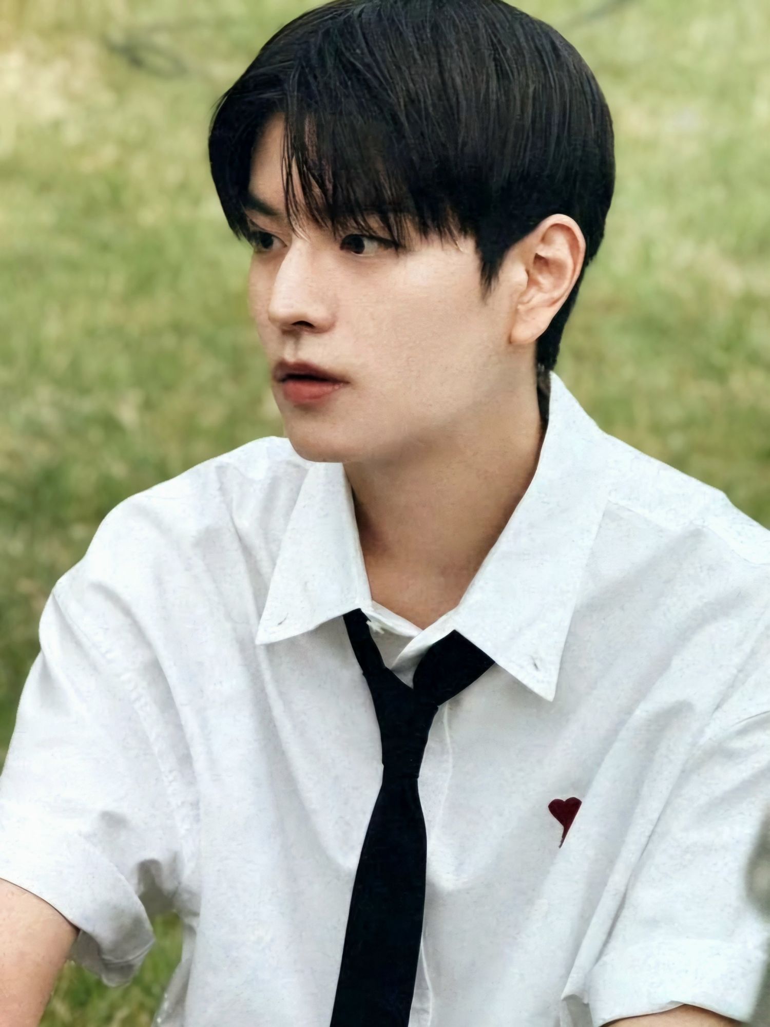 A moment captured by Seungmin (Stray Kids)'s fan