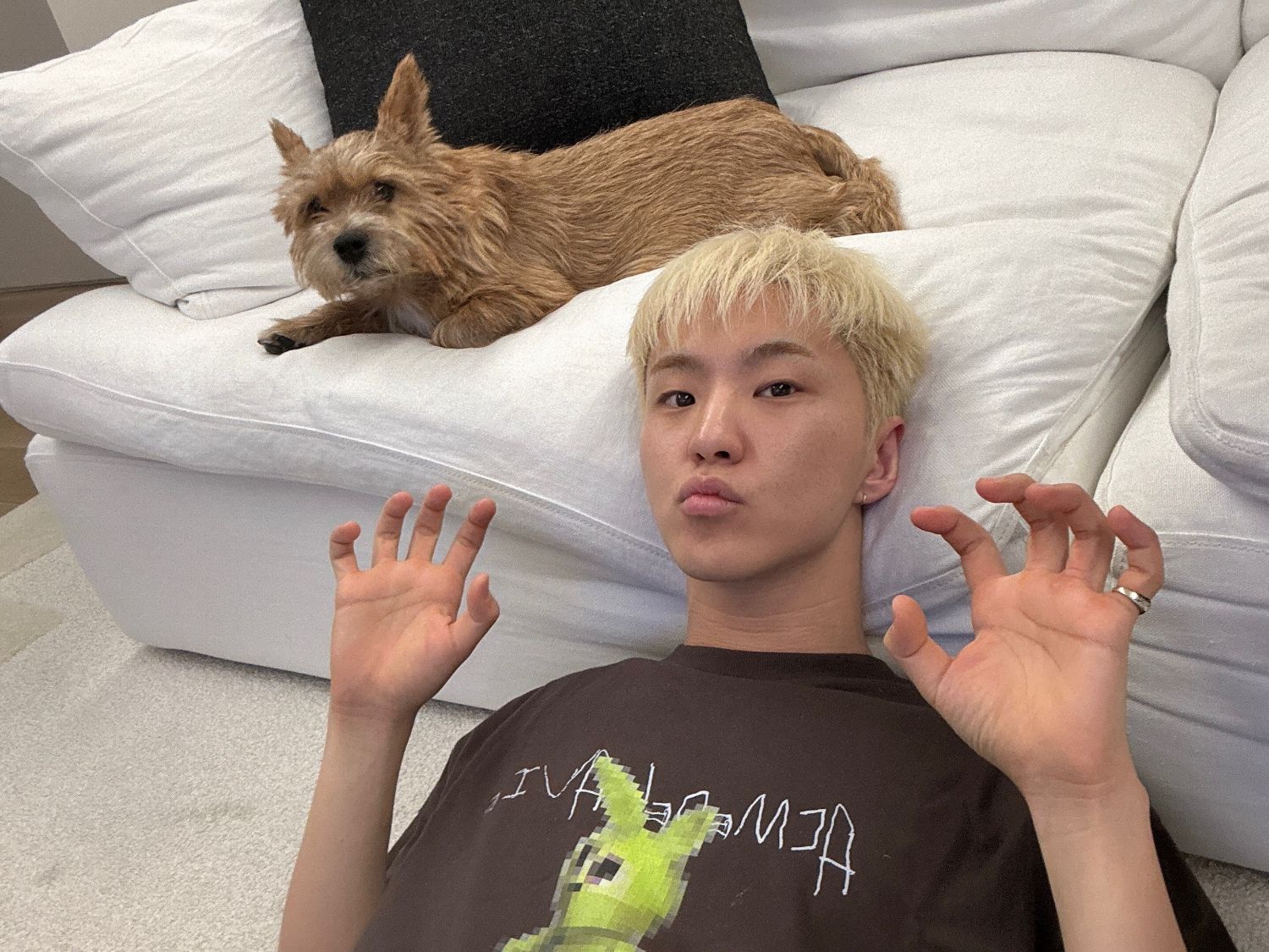 Momen yang diabadikan oleh penggemar Hoshi (SEVENTEEN)