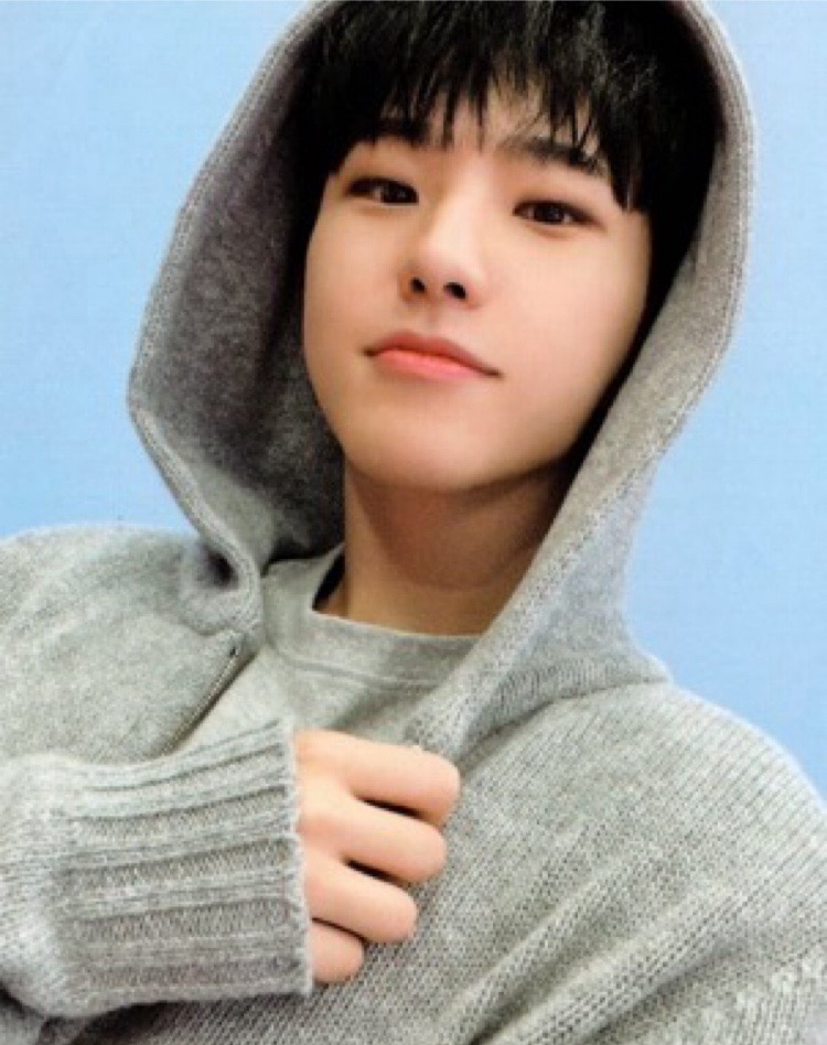 Recent activity shot of Hoshi (SEVENTEEN)