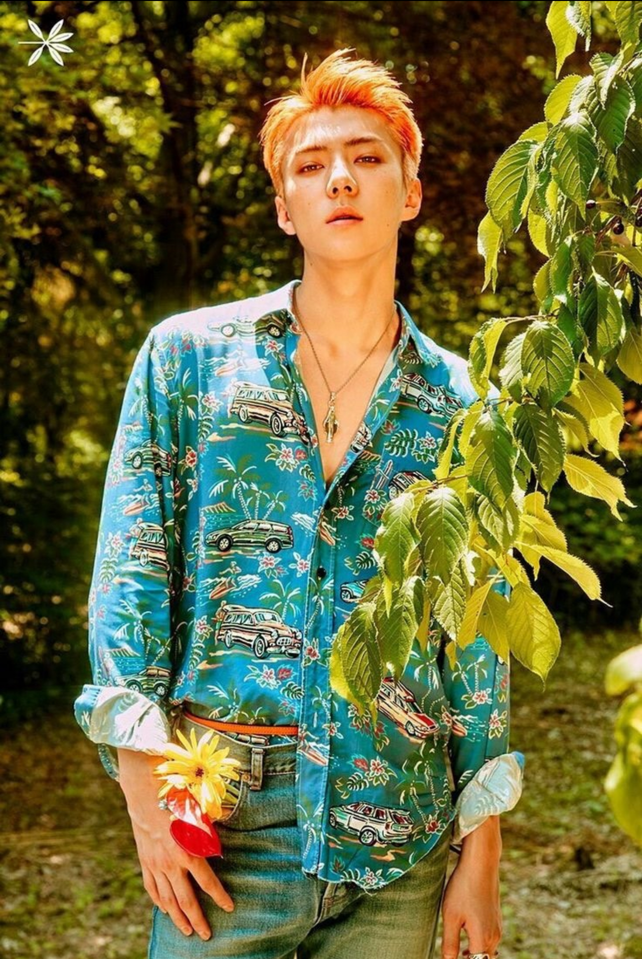 Recent activity shot of Sehun (EXO)