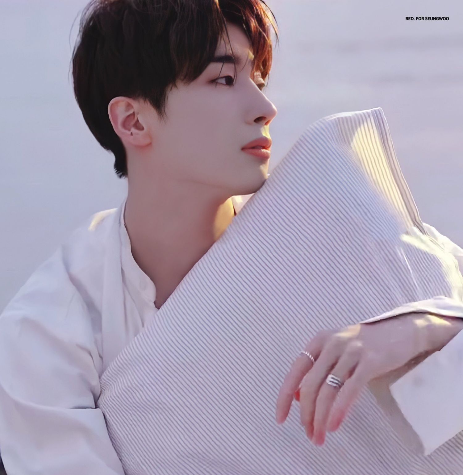 A moment captured by Han Seungwoo's fan