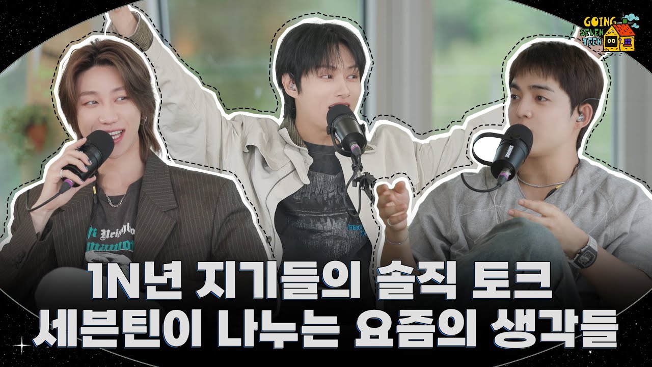 세븐틴 팬이 찍은 순간