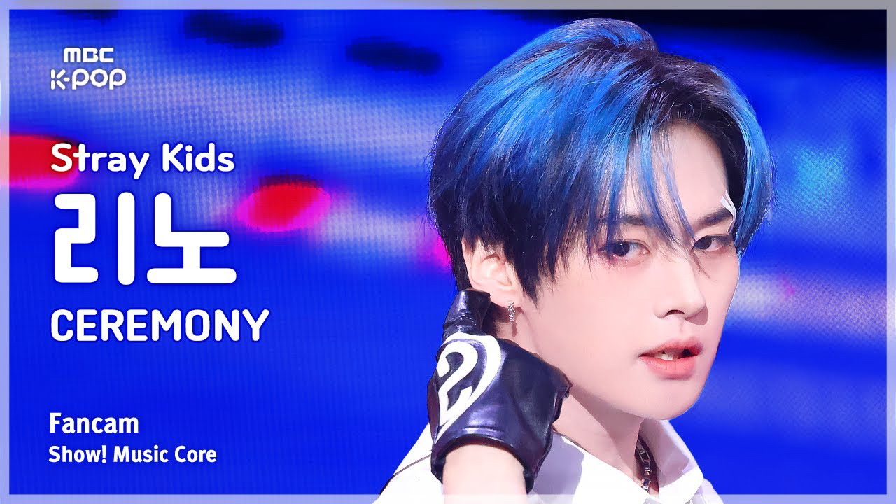 Recent activity shot of Lee Know (Stray Kids)