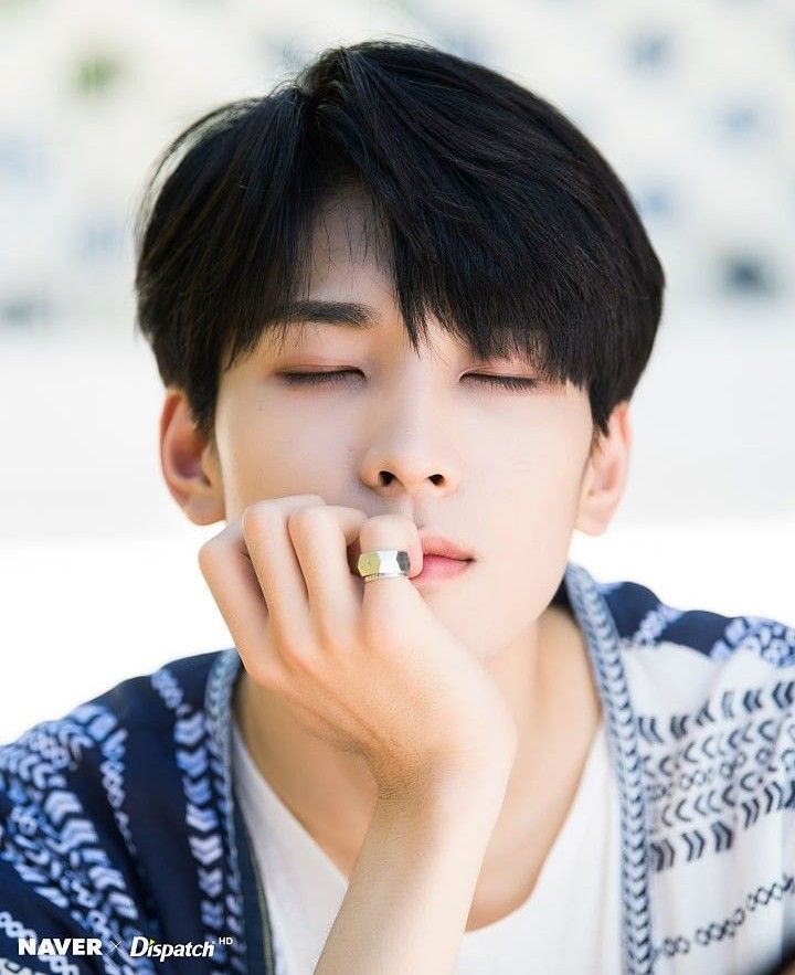 A moment captured by Wonwoo (SEVENTEEN)'s fan
