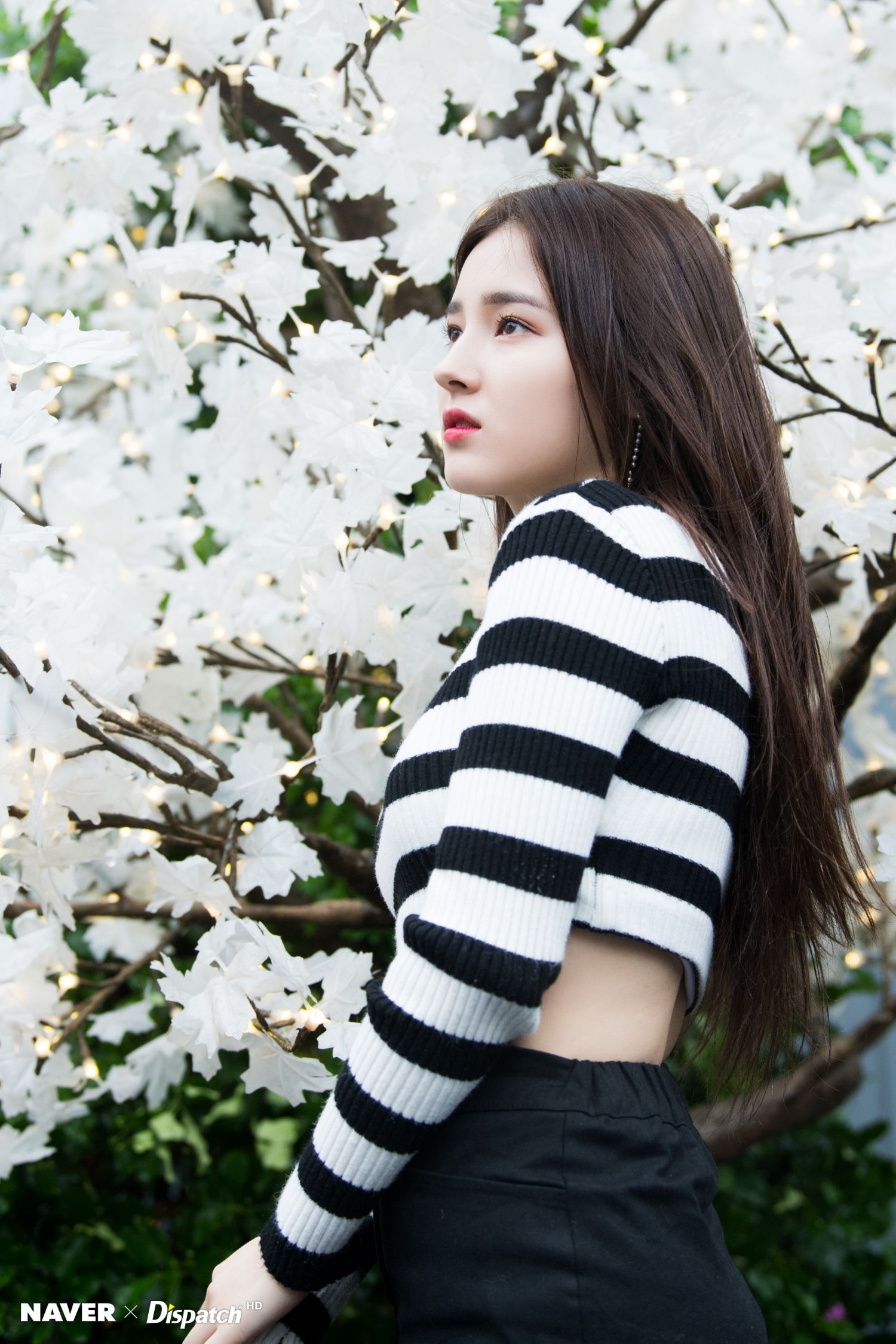 Latest photo of MOMOLAND