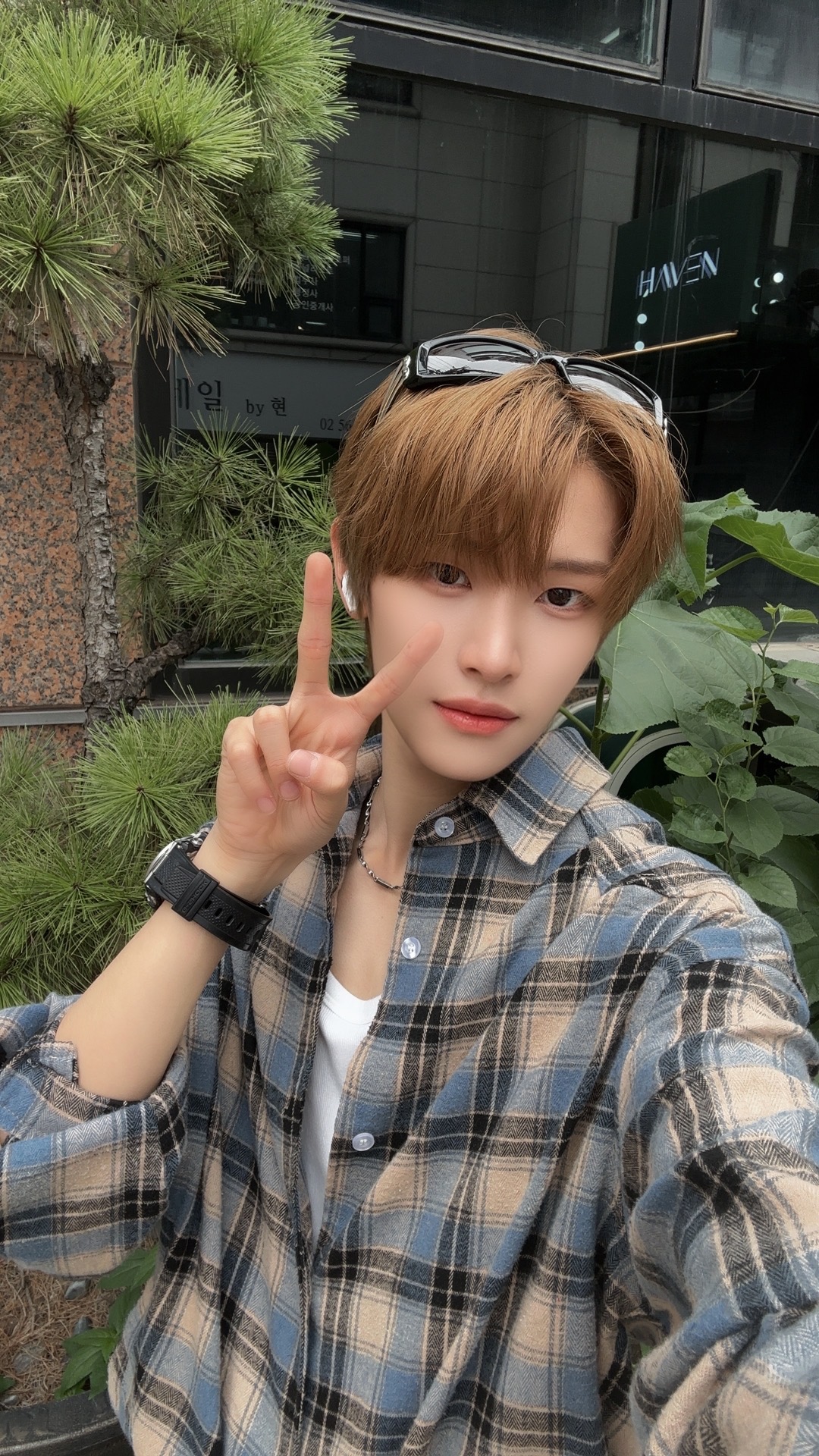 The most beloved wallpaper among Chen Kaiwen's fans