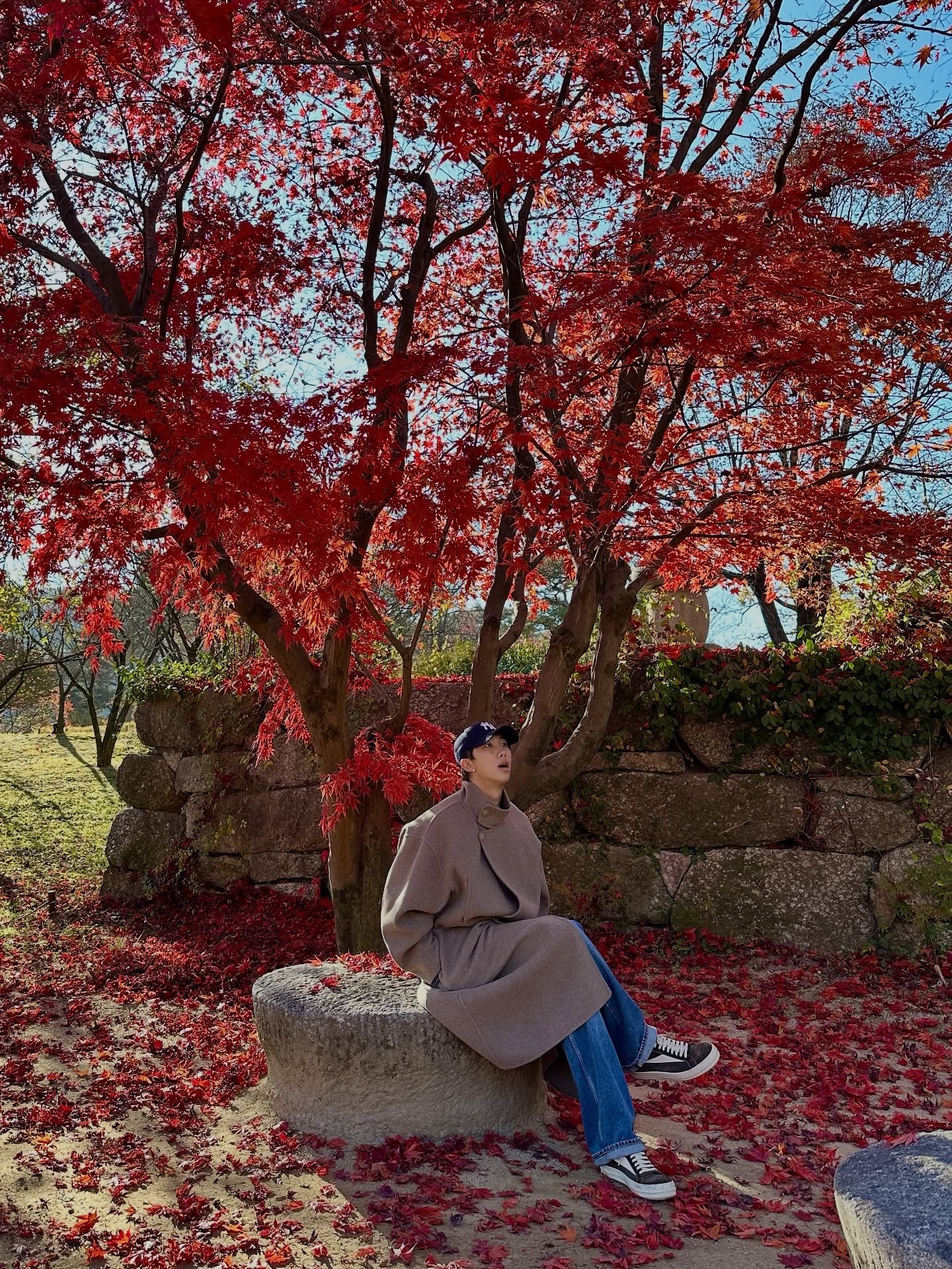 Momen yang diabadikan oleh penggemar BTS