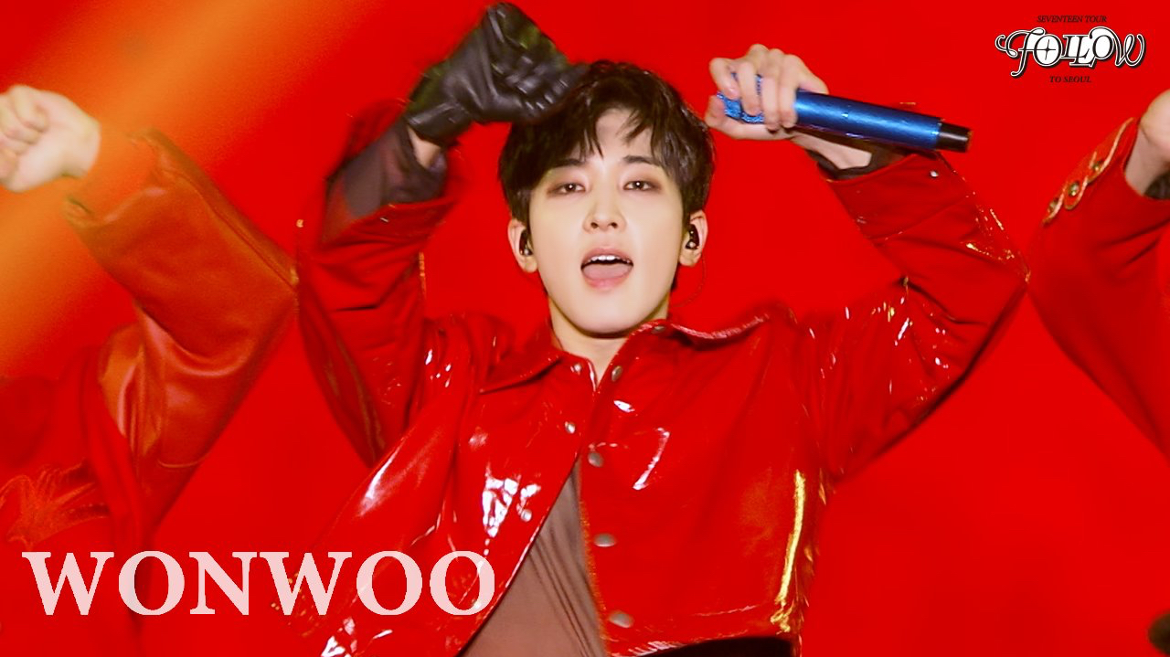 A moment captured by Wonwoo (SEVENTEEN)'s fan