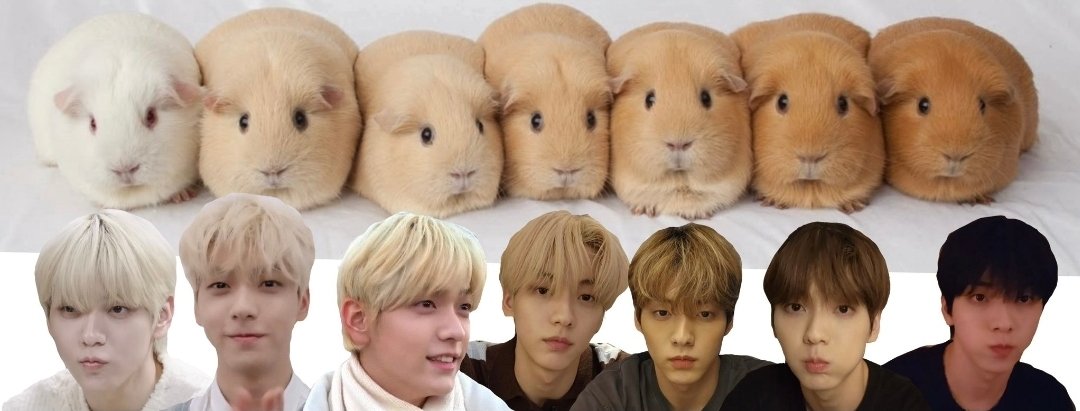 Recent activity shot of Soobin (TOMORROW X TOGETHER)